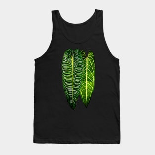 ANTHURIUM VEITCHII X WAROCQUEANUM Tank Top